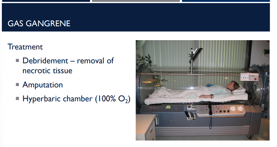 <p>What are the 3 treatments of gas gangrene?</p>