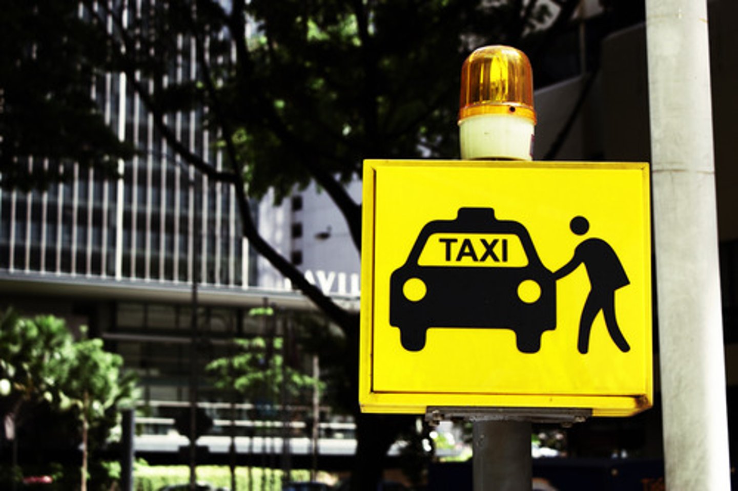 <p>(n) a place to catch a taxi</p>