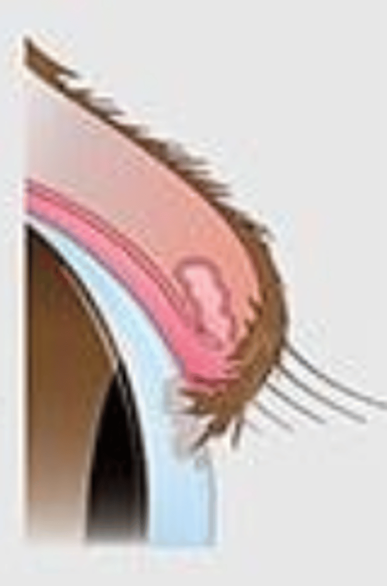 <p>what is this?</p>