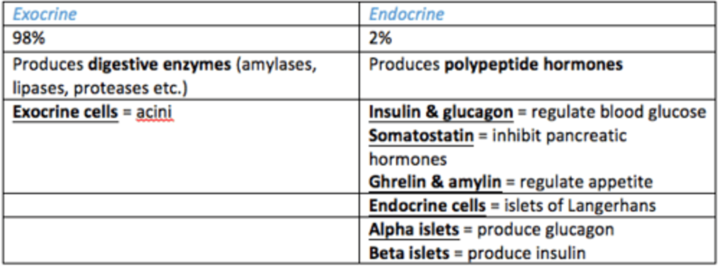 <p>1) Exocrine</p><p>2) Endocrine</p>