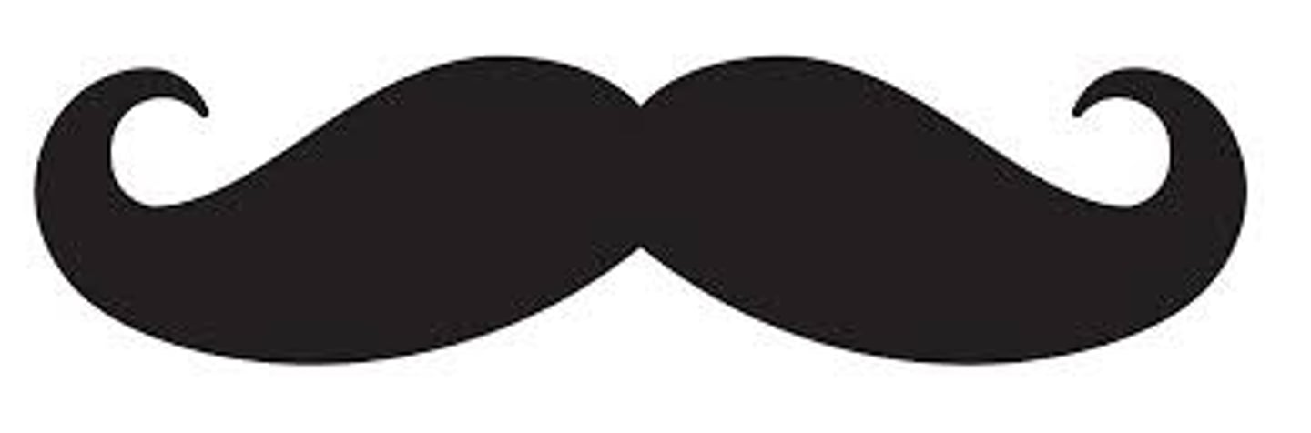 <p>mustache</p>