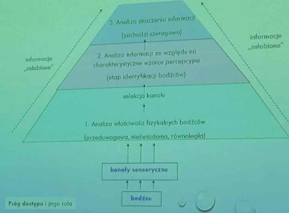 <p>Teoria późnej selekcji:</p><ul><li><p>Eksperymenty pokazały, że nawet nieistotne bodźce (kanał ignorowany) mogą być analizowane semantycznie</p></li><li><p>Późna selekcja umiejscawiała filtr uwagowy po analizie sensorycznej i semantycznej, ale przed selekcją reakcji</p></li><li><p>„Pobieranie informacji zmysłowych, przetworzenie ich, a potem selekcja - które aspekty bodźców powinny być objęte uwagą” (Treisman)</p></li></ul><p>Założenia modelu:</p><ul><li><p>Uwaga działa zarówno na wczesnych jak i na późnych etapach przetwarzania informacji</p></li><li><p>Selektywny odbiór informacji dokonuje się w trzech etapach</p></li><li><p>Hipoteza "osłabiacza" - informacje nie wyselekcjonowane przez uwagę nie są blokowane i bezpowrotnie odrzucane, lecz osłabiane; w postaci osłabionej przechodzą one do dalszych etapów przetwarzania informacji i mogą zostać wykorzystane</p></li><li><p>Pojemność uwagi można porównać do stożka - jest ona największa we wczesnych etapach analizy, a mniejsza w późniejszych</p></li></ul><p>Wg tego modelu Parapsyche nie zauważyła strzał ponieważ odroczyła to w przetwarzaniu</p>