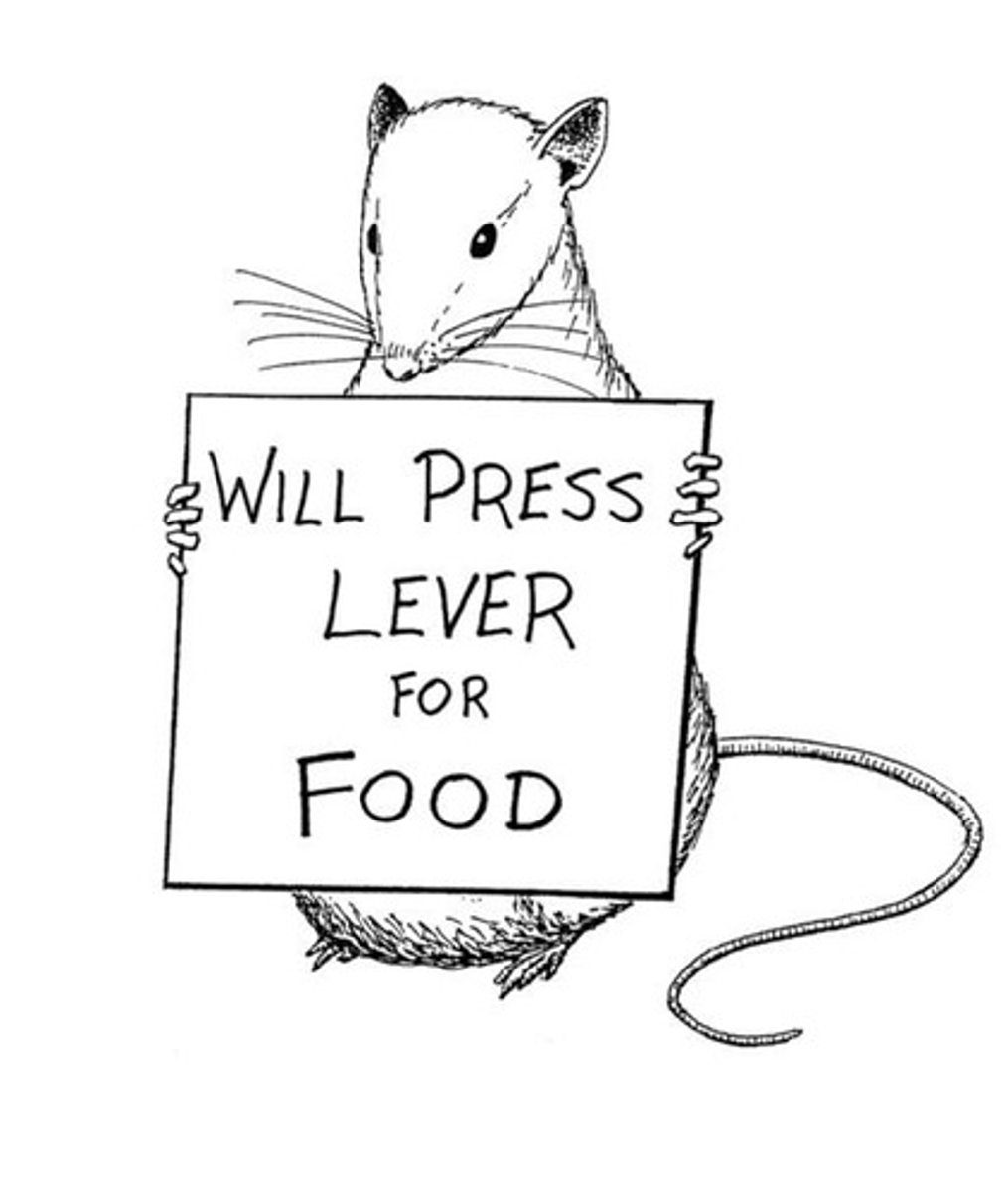 <p>Problem solving is associative learning<br>Stimuli will elicit responses<br>Response is either reinforced or not<br>Reinforced responses are strengthened<br>Non-reinforced responses are extinguished<br>Initial state is aversive<br>Motivates organism to respond<br>Puzzle box (Thorndike)<br>Series of trial-and-error responses in problem solving<br>Responses that work are strengthened<br>Responses that fail are weakened<br>Achievement of goal state is reinforcing<br>Responses become less random<br>Ex: cats escaping from boxes, behavior changes due to consequences</p>