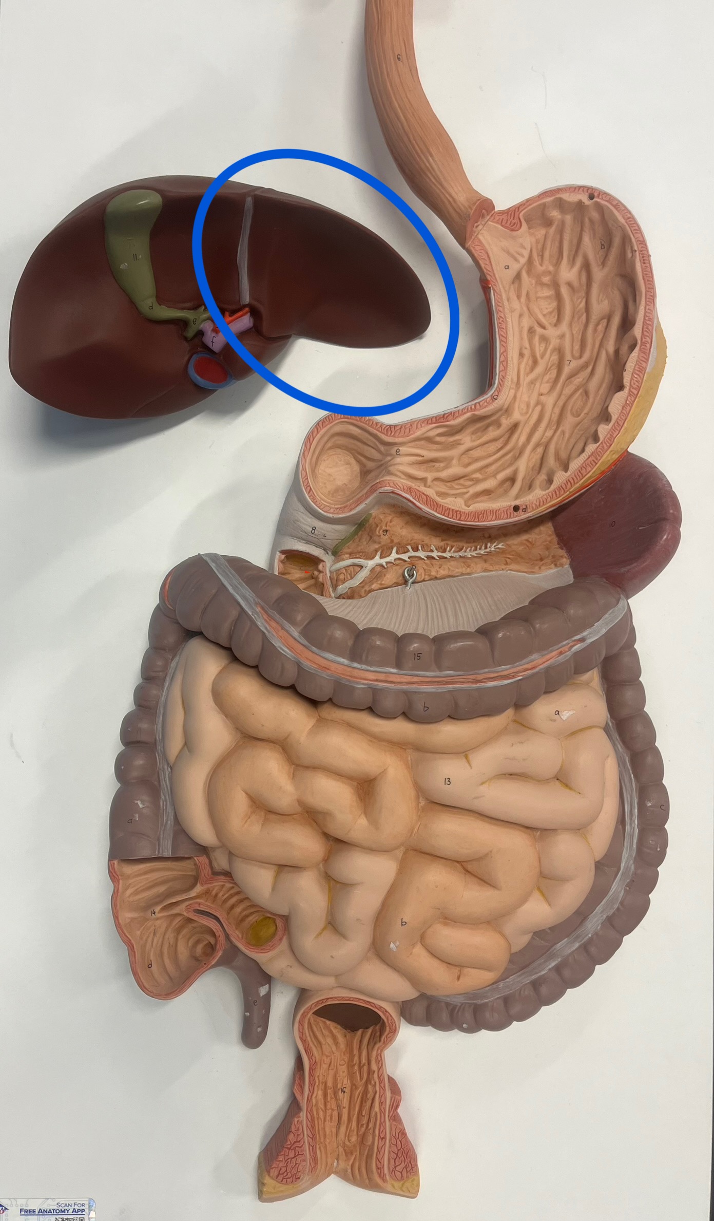 <p>what is this?</p>