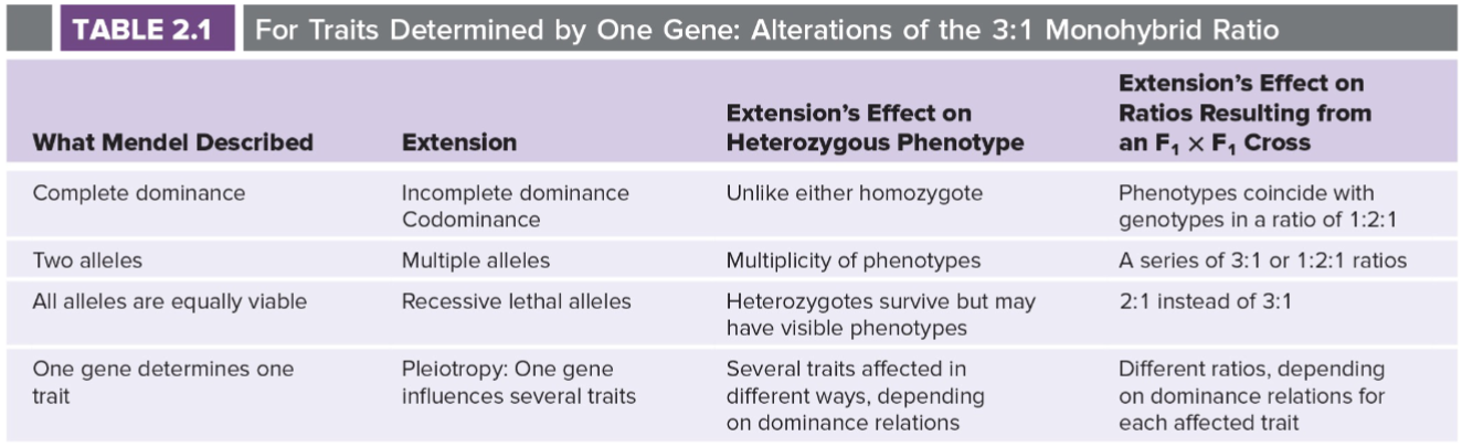 <ul><li><p>summary of Mendel’s basic assumptions and comparison of these assumptions w/ 20th century contributions</p></li></ul>