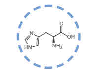 <p>What amino acid is this?</p>