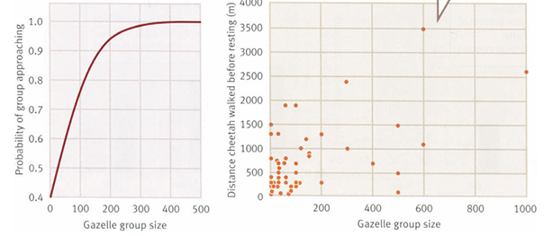 <p>What’s the main message?</p>