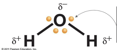 <p>Electrons are not shared equally, the atoms with a higher EN have a stronger pull and create partial charges. (Dipoles)</p>