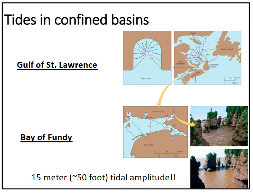 <p>bay of Fundy → 100 billion tons of water twice a day</p><p>Cignet Bay, Western Australia → 12m</p>