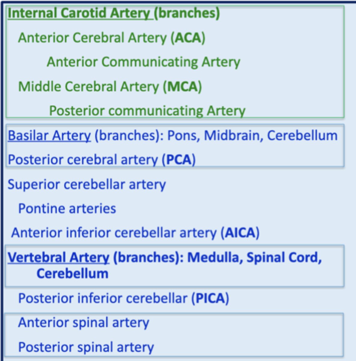 <p>1. anterior spinal artery</p><p>2. posterior spinal artery</p>