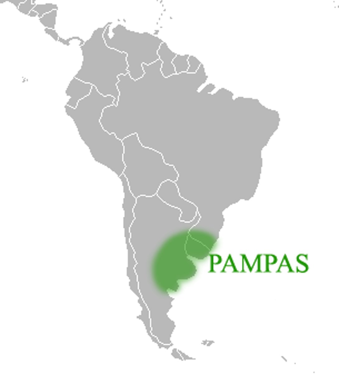 <p>Raised on the pampas of Argentine and Uruguay; beef was a major export</p>