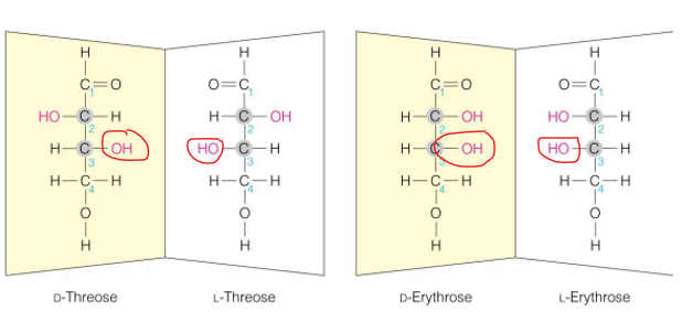 <p>based on the location of the OH on the chiral carbon farther from the carbonyl carbon </p>