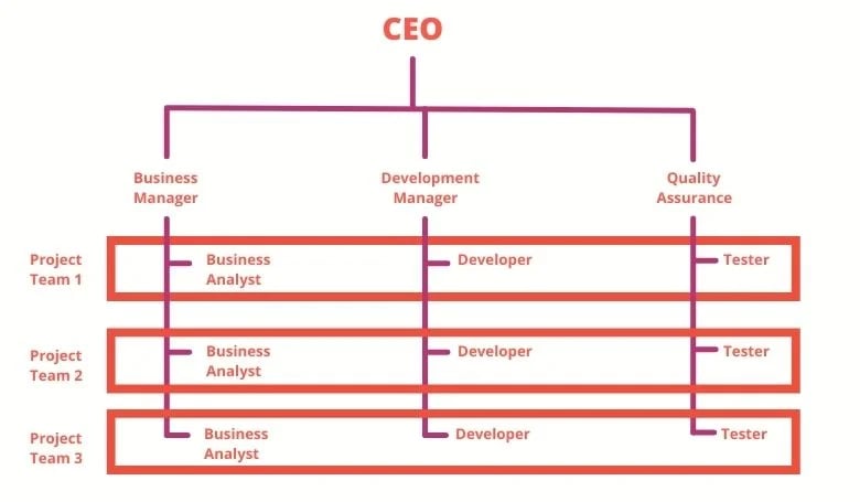 <p>Combo of functional and divisional structure<br>Employees have both functional and divisional managers</p>