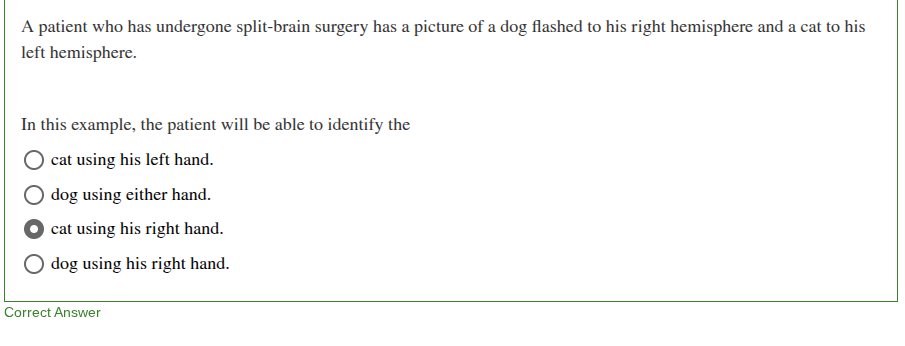 <p>In this example, the patient will be able to verbalize </p>