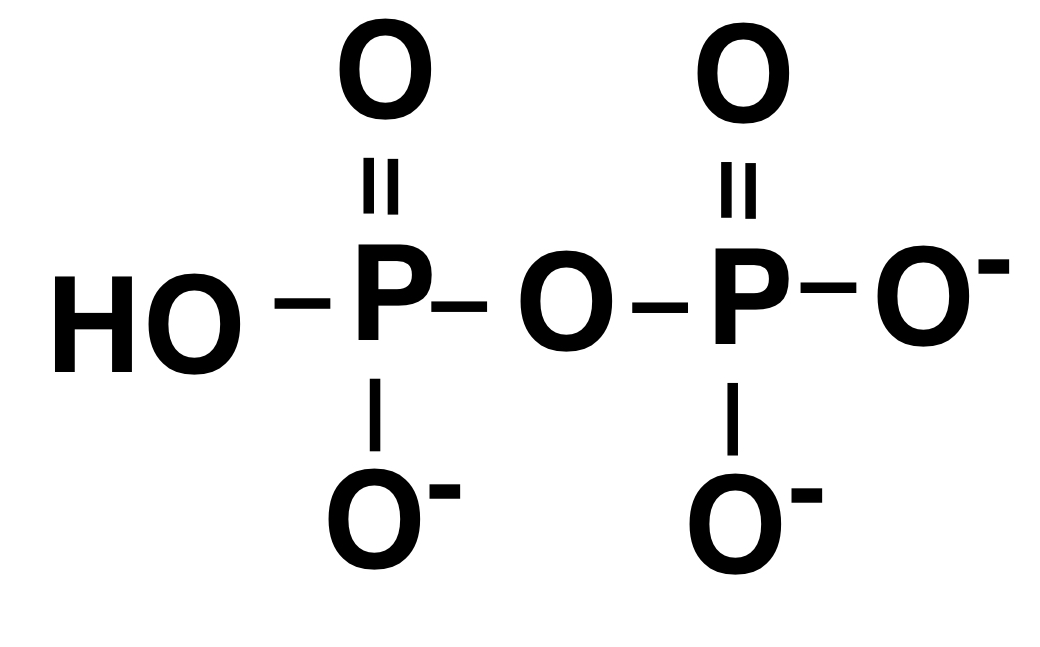 Pyrophosphate