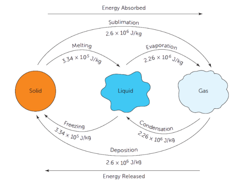 <p>heat absorbed or released by a <strong>change in phase</strong></p><ul><li><p>energy is transferred, but no temperature change</p></li><li><p>temperature is hidden or latent</p></li></ul><p>These processes absorb latent heat: melting, evaporation, sublimation</p><p>These processes release latent heat: freezing, condensation, deposition</p><p></p>
