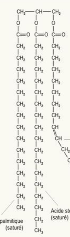 Qu'est-ce que c'est?