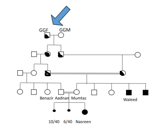 <p>A bad gene in 1 great grandparent could go to 2 children, if their children / grandchildren have children of their own, they could end up inheriting 2 of the identical bad chromosomes that came from the great grandparent</p>
