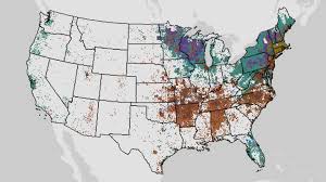 <p>Dot distribution</p>