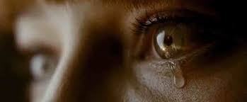 <p>focusing on a detail (e.g. eyes) —<span>you cannot see the entire subject, but rather are forced to focus on a particular portion</span></p><p></p><p>effect:</p><p><span>used to show the expression on a character’s face or indicate the importance of an object.</span></p><p><br><span>- </span>Capturing details like eyes, mouth, or hands can convey subtle emotions (fear, excitement, sadness) that might not be visible in a wider shot.</p><p></p>