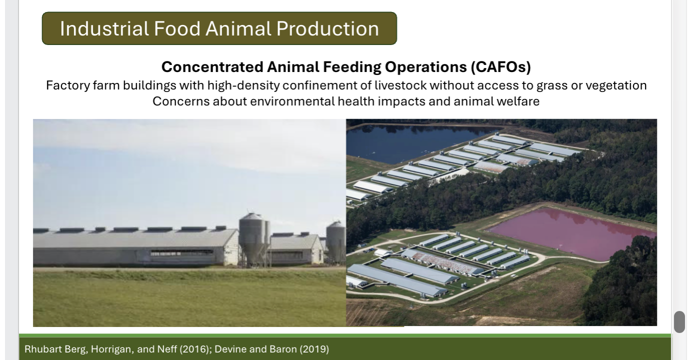<p>Define concentrated animal feeding operations (CAFOs) and the impacts that they have </p>