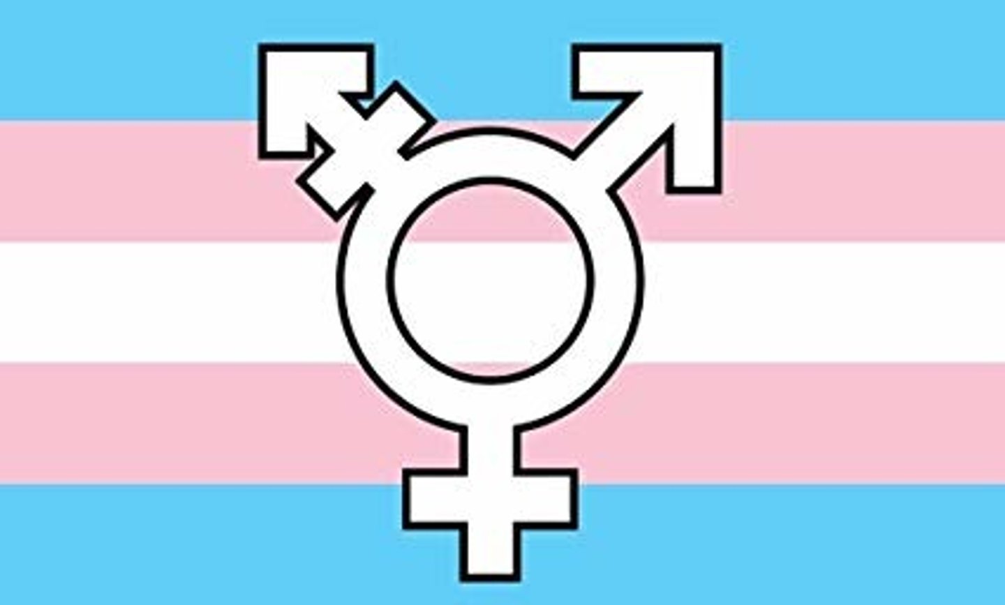 <p>transgender</p>