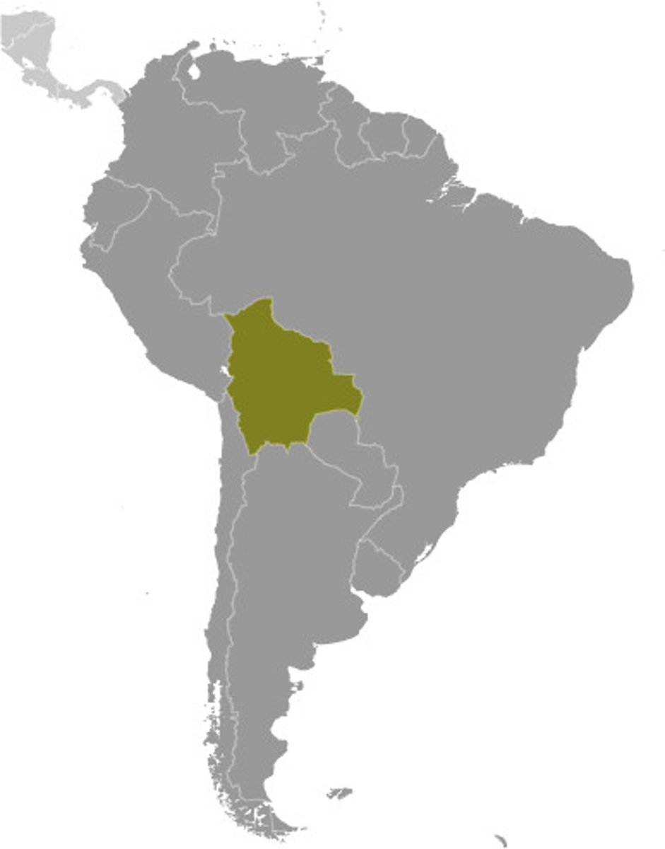 <p>La Paz , Sucre</p>