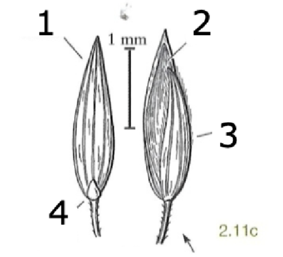 <p>what is 1?</p>