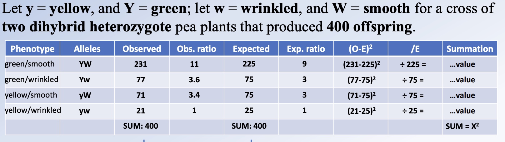 <ol><li><p>Look at a <strong>X² chart</strong> to locate the <strong>p value</strong> for your X² number.</p></li><li><p>If <strong>p < 0.05</strong>, reject the notion of independent assortment.</p></li><li><p>If <strong>p > 0.05</strong>, accept that <strong>Mendelian inheritance</strong> took place.</p></li></ol><p></p>