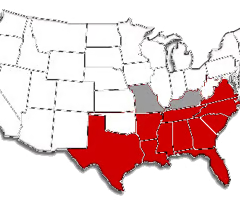 <p>elitist, political culture that views politics and government as the means of maintaining the existing social order, not very much change, states that used to have slavery </p>
