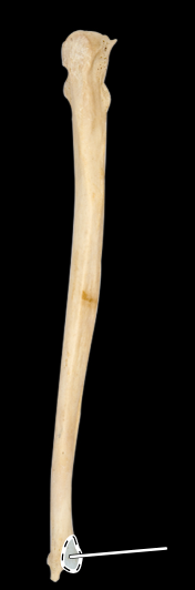 <p></p>