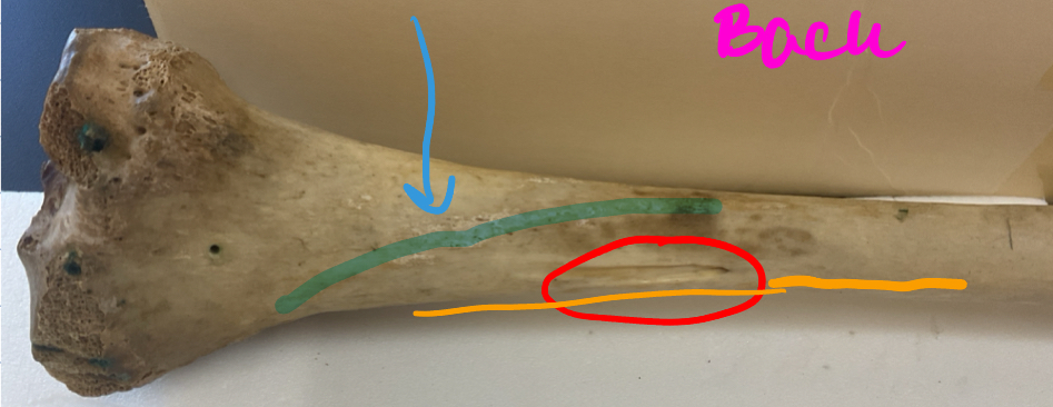 <p>What is the red circle</p>