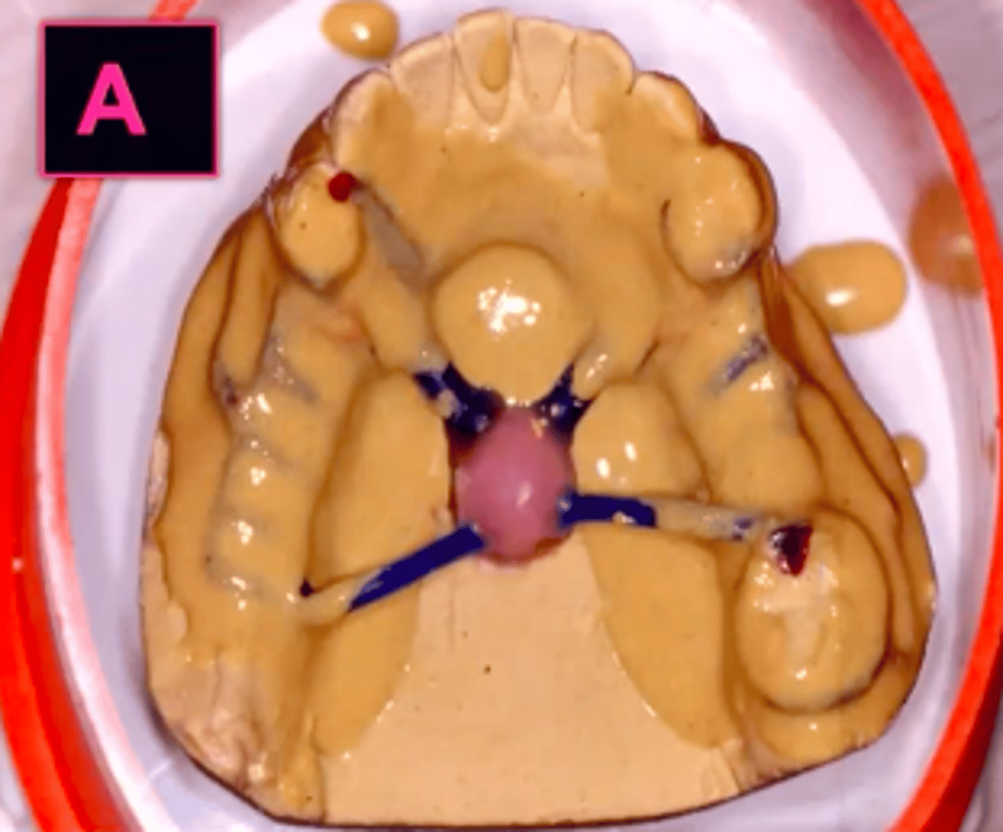 <p>ID the type of investment:</p>