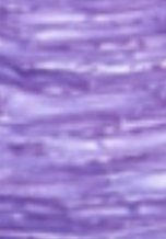 <p>Which type of tissue does this image depict?</p>