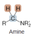 <p>Amine</p>