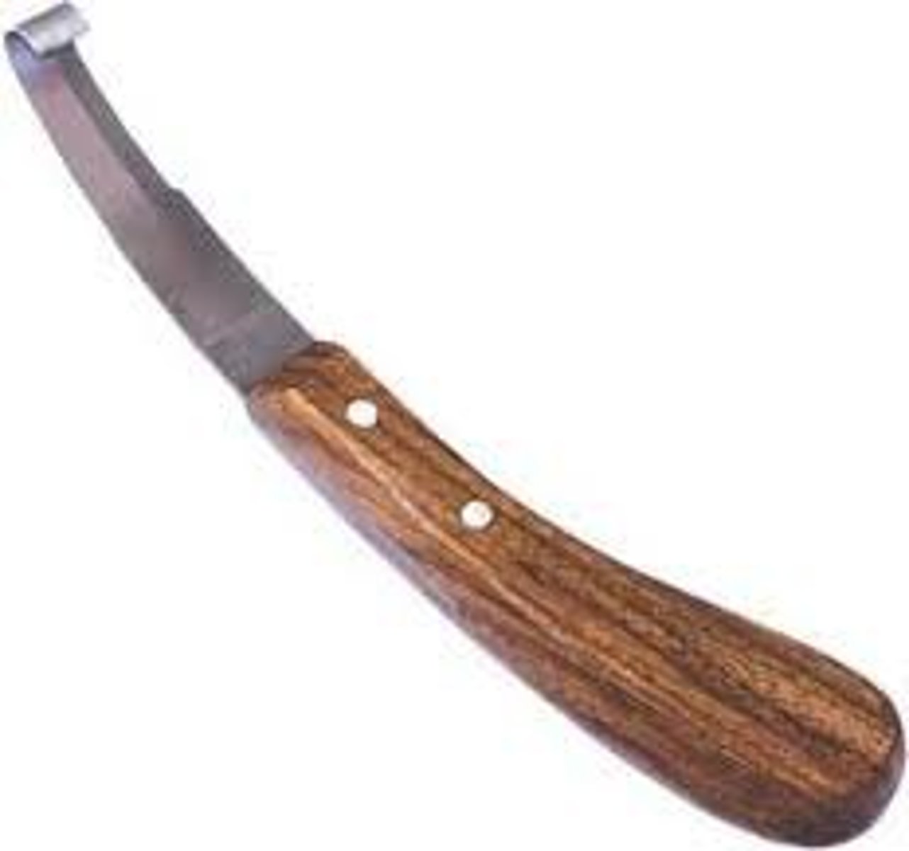 <p>Can be used in equine but for very soft adjustment, used to trim off hoof wall</p>