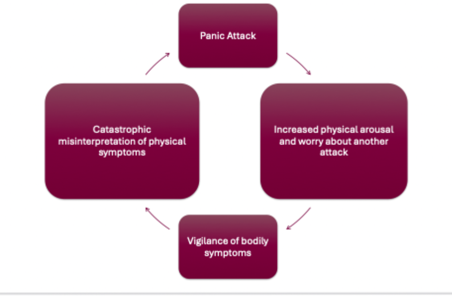 <p><span>Describes panic disorder where individuals fear the physical symptoms of anxiety, believing they signal danger.</span></p>