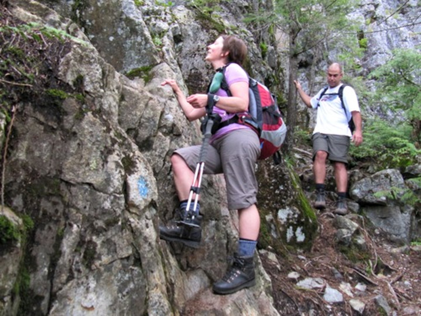 <p>steep, sheer, craggy</p>