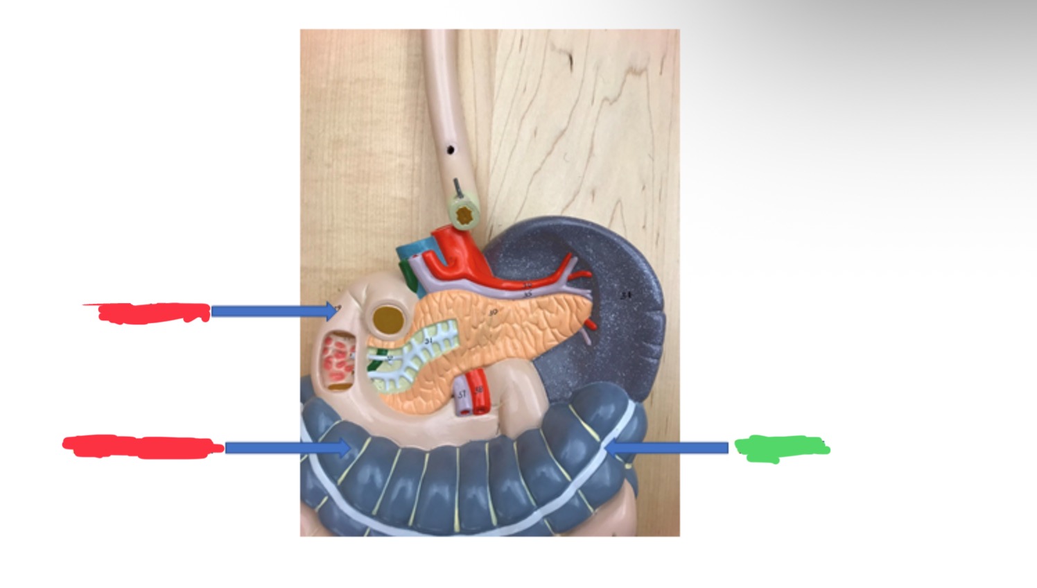 knowt flashcard image