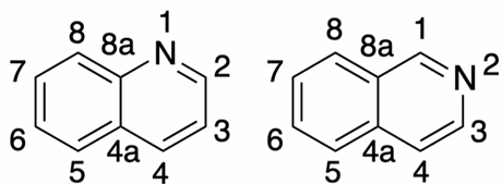 <p>Benenne die Moleküle</p>