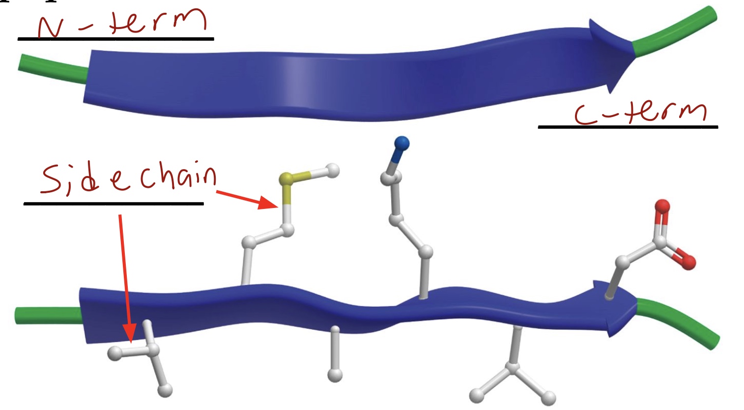 <p>Above and below</p>