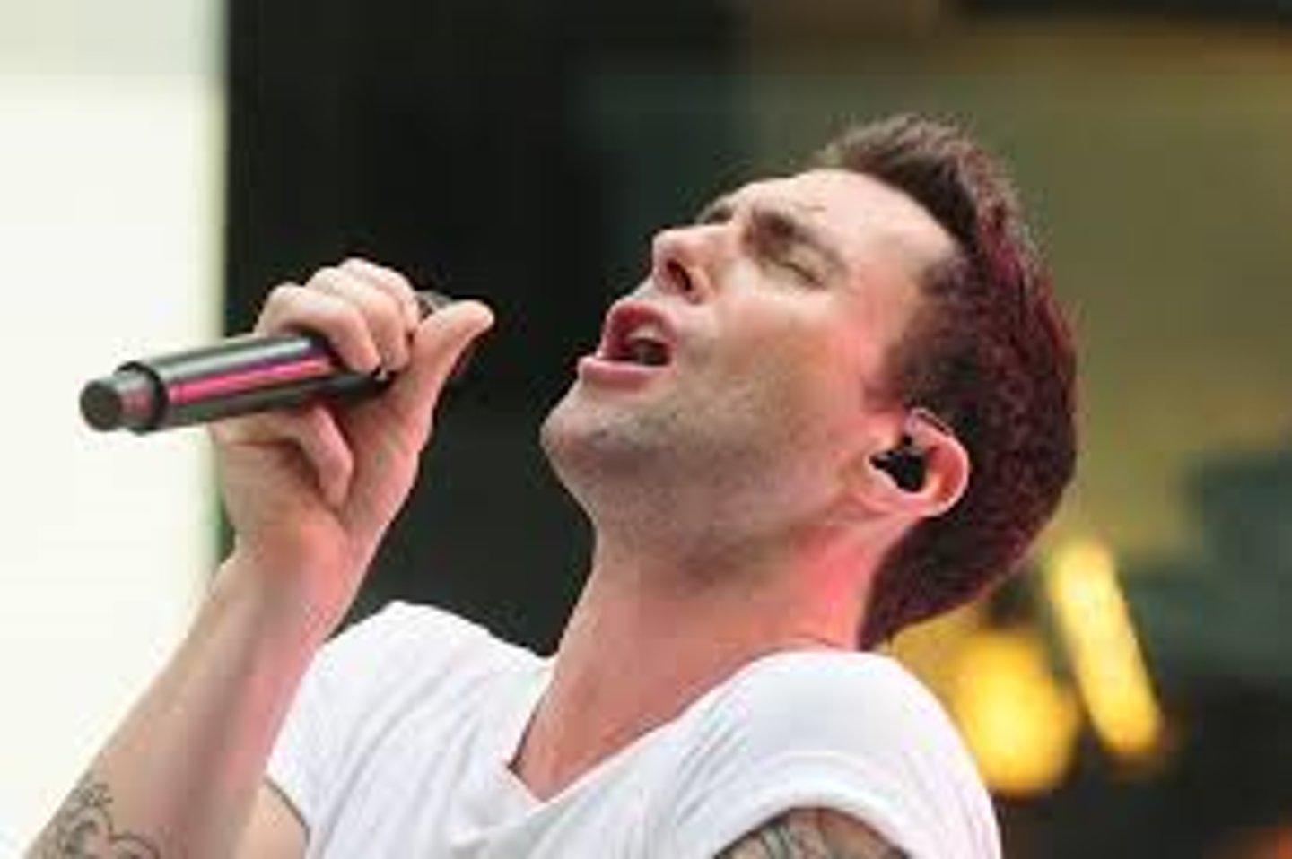<p>male singer</p>