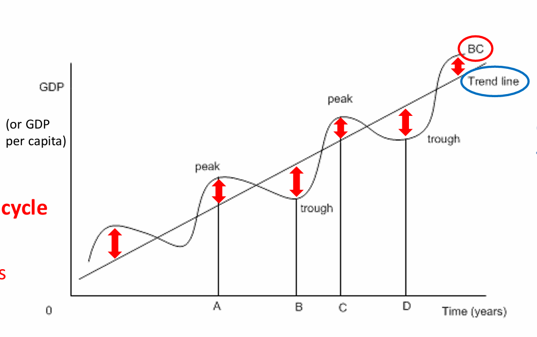 <p>What does the <strong>black wavy line</strong> on the graph represent?</p>