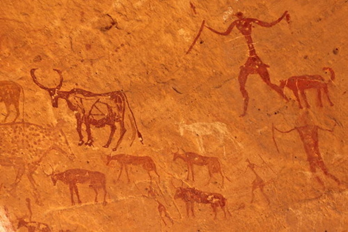 <p>Cave Paintings in the namesake mountain range of western Libya</p>