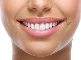 <p>mouth</p>
