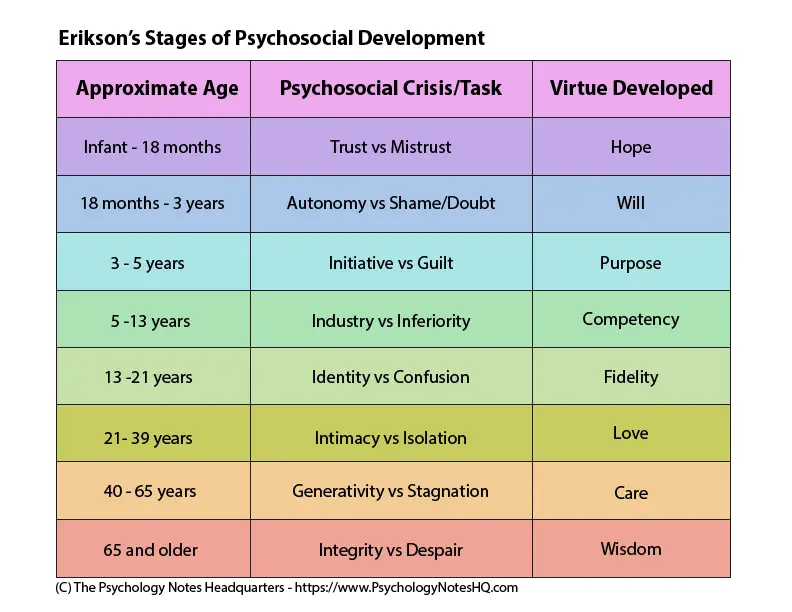 <p>Erikson’s stages of psychosocial development</p>