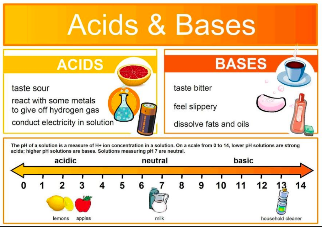 <p>Taste sour, change the color of certain indicators • react with some metals and bases • promote chemical reactions (acid catalysis) in a water solution • Ex: acetic acid, ascorbic acid, citric acid, carbonic acid, hydrochloric acid • ptt: 2-4</p>