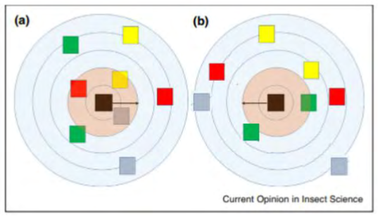 <p>number of habitat types increases with spatial scale</p><p>assuming there are two sampled areas with the same amount of habitat types, but different spatial distributions:</p><p>a study of the entire area for both areas will yield the same results</p><p>more limited spatial scales will yield different results (see picture)</p>