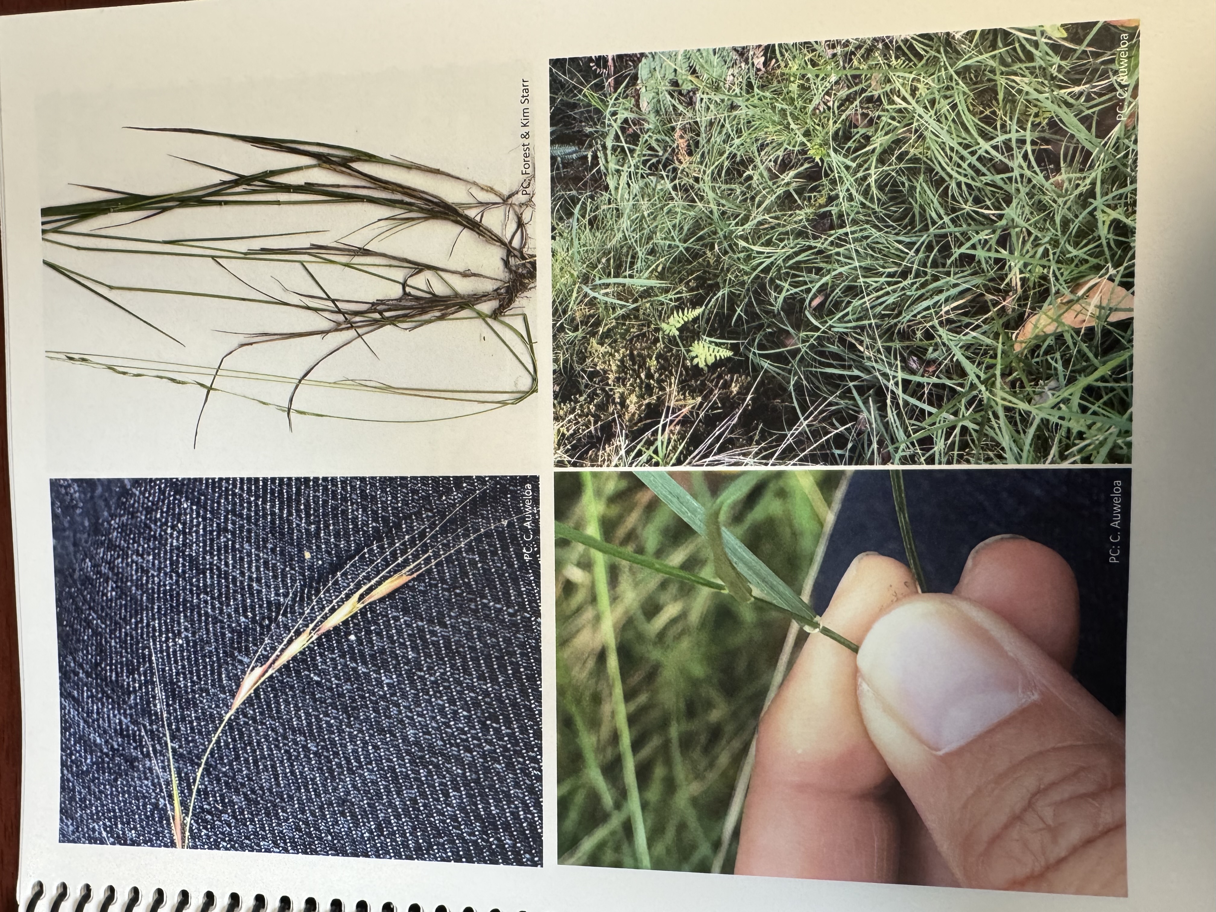 <img src="blob:null/f5408a33-6e3d-46e6-ab41-113cbc72e201"><p></p>