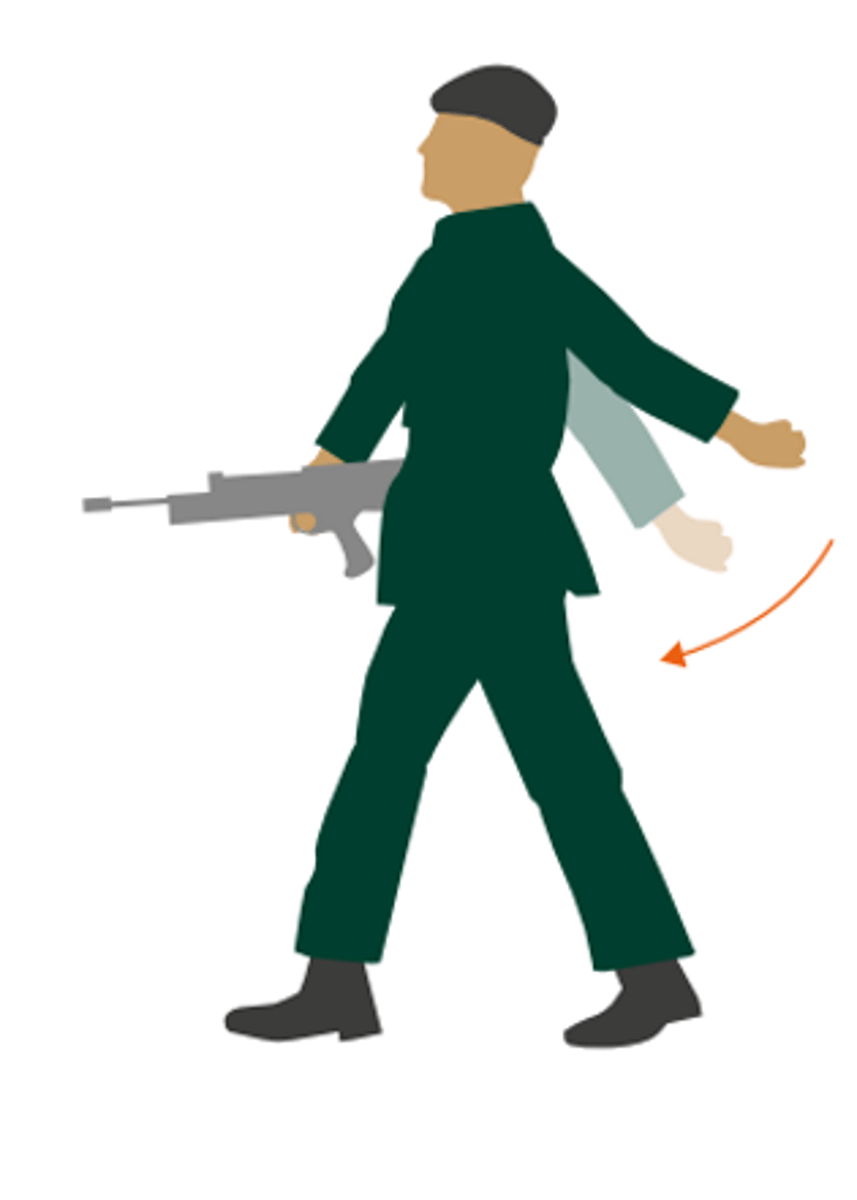 <p>Right/Left Flanking</p>